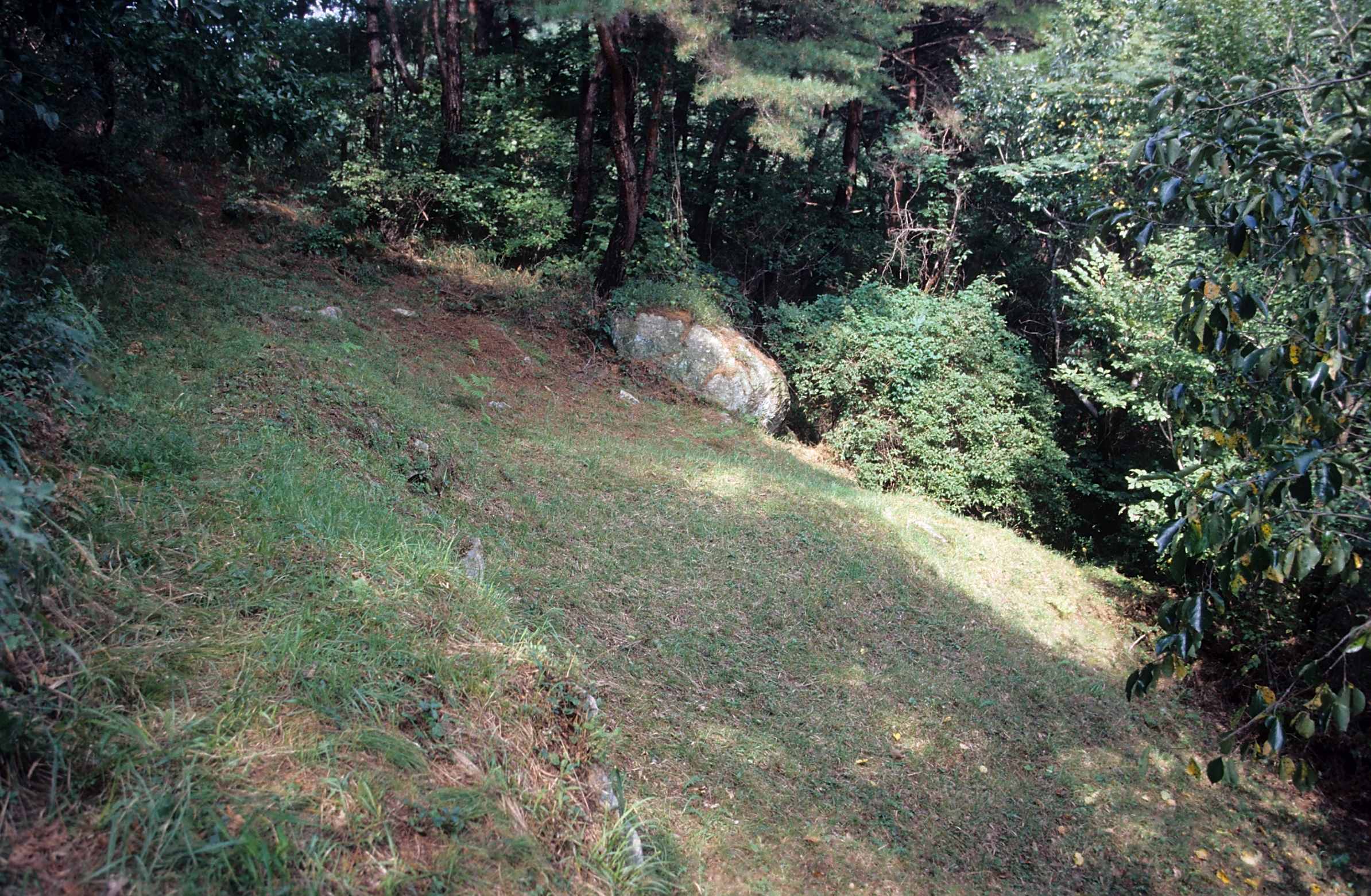 유적_3_경주남산_별천룡곡-제2사지-건물지 전경_경상북도_미상_경주_제1유형.jpg이미지
